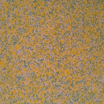 10 pf1